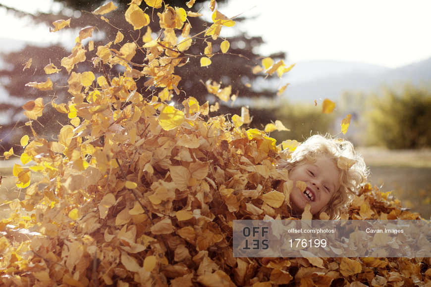 Young Boy Playing In Leaf Pile