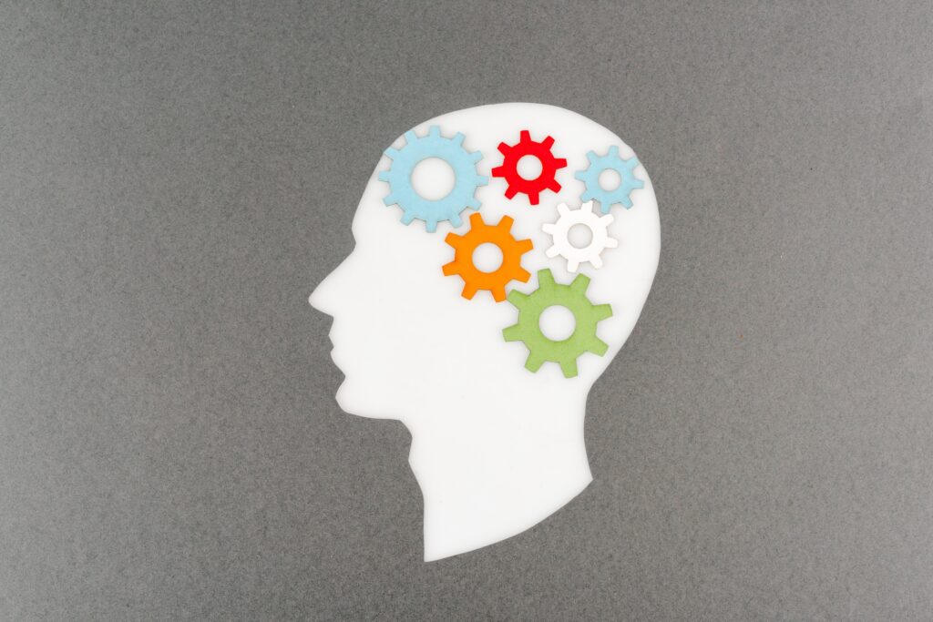 top view of cut out white human head with colorful gears isolated on grey